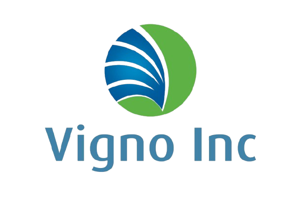 Vigno Inc. - Software Corporate Training & Consultancy services